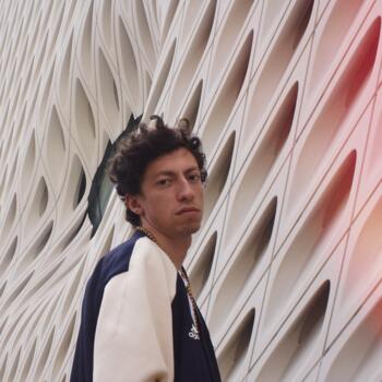 Niñera en Ciudad de México: Fer