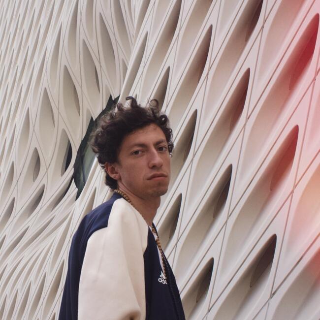 Niñera en Ciudad de México: Fer