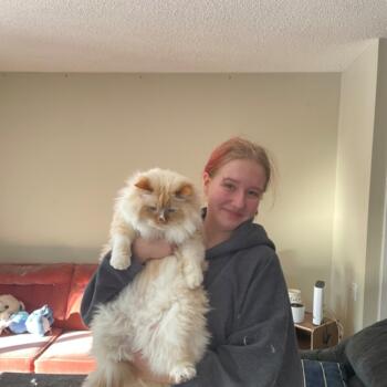 Baby-sitter in Nepean: Lilli