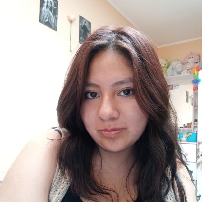 Babysitter in Calama: Eileen 