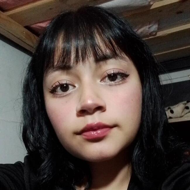 Babysitter in Port Montt: Natacha