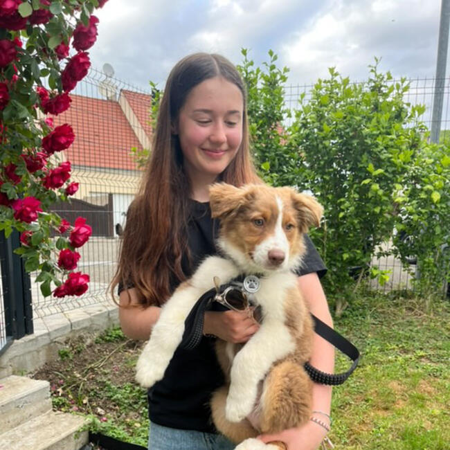 Babysitter in Nézel: Roxane