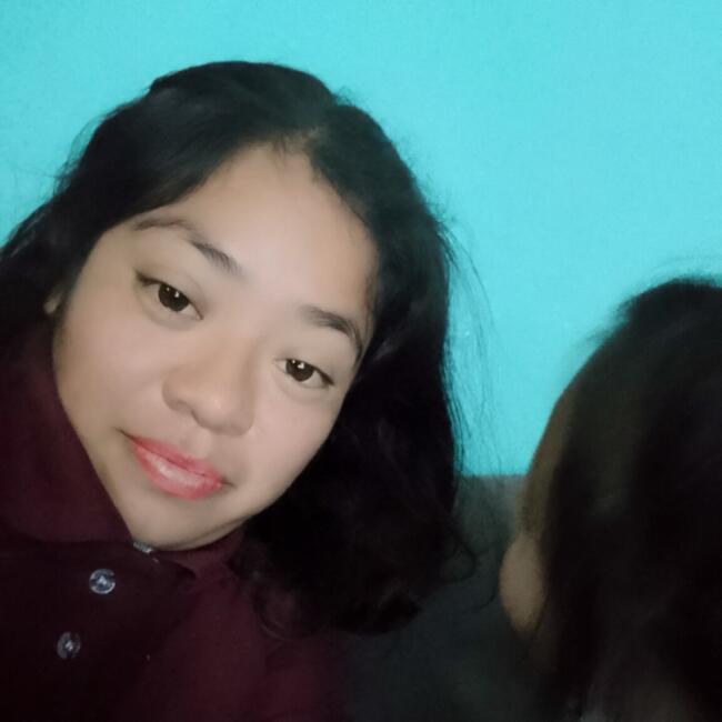 Babysitting job in Tultepec: Nayeli