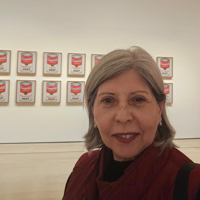 Babysitting job in Montevideo: Xifre