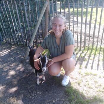 Babysitter Vosselaar: Hanne