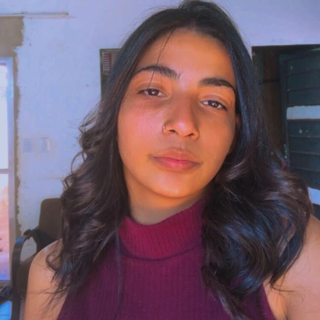 Babysitter in Ribeirão Preto: Andressa jardim