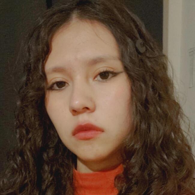 Babysitter in Santiago: Melany