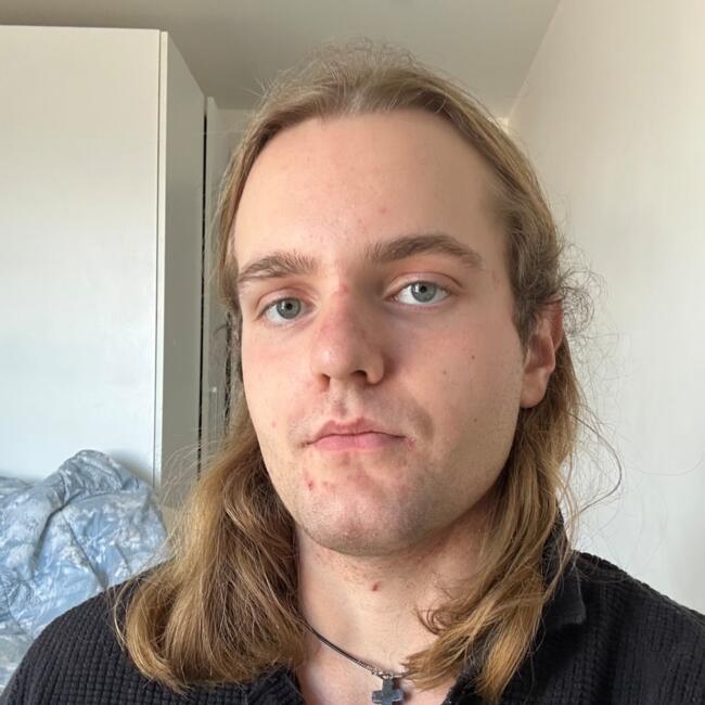 Babysitter in Melbourne: Michal