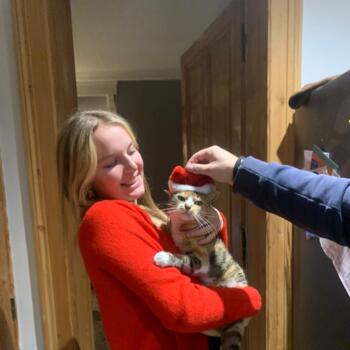 Babysitter Sailly-sur-la-Lys: Margot