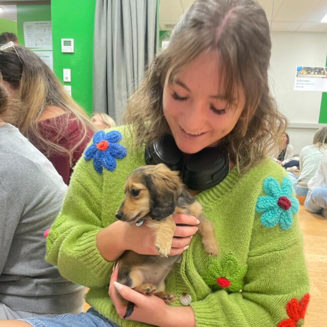 Babysitter in Dunedin: Chloe