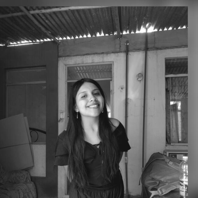 Babysitter in José Leonardo Ortiz: Milagros