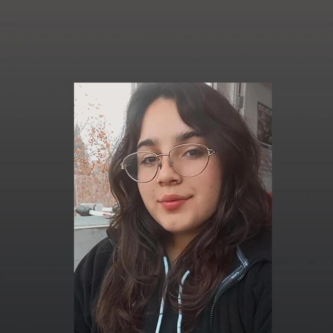 Niñera en Coquimbo: Karen