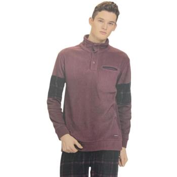 Babysitter a Cologno Monzese: Zelindo