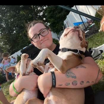 Babysitter in Hatboro: Liv