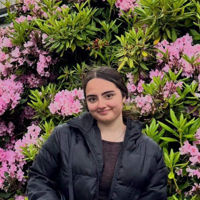 Babysitter in Dunedin: Treeshula