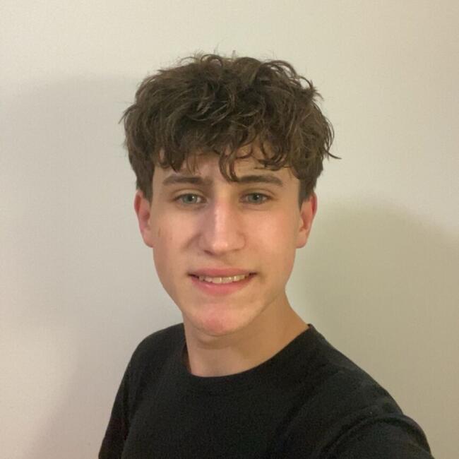 Babysitter in Nantes: Mathieu