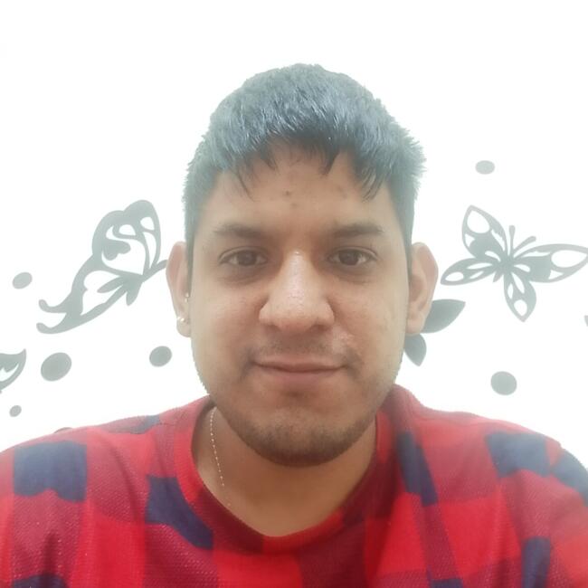 Babysitter in Valladolid: Allan