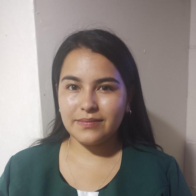 Babysitter in Puente Alto: Daniela