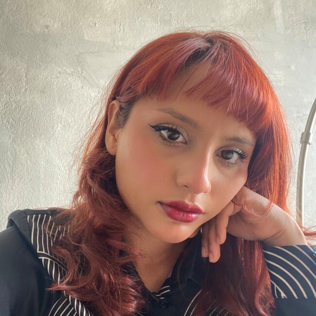 Babysitter in General Escobedo: Paulina