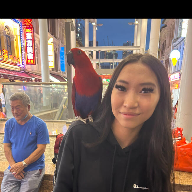 Babysitter in Melbourne: Jinny