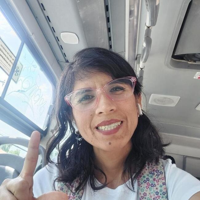 Niñera en Recoleta: Rut Heidy