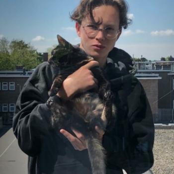 Oppas Den Haag: Dax