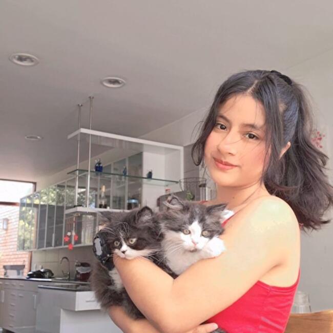 Babysitter in San Borja: Daniela