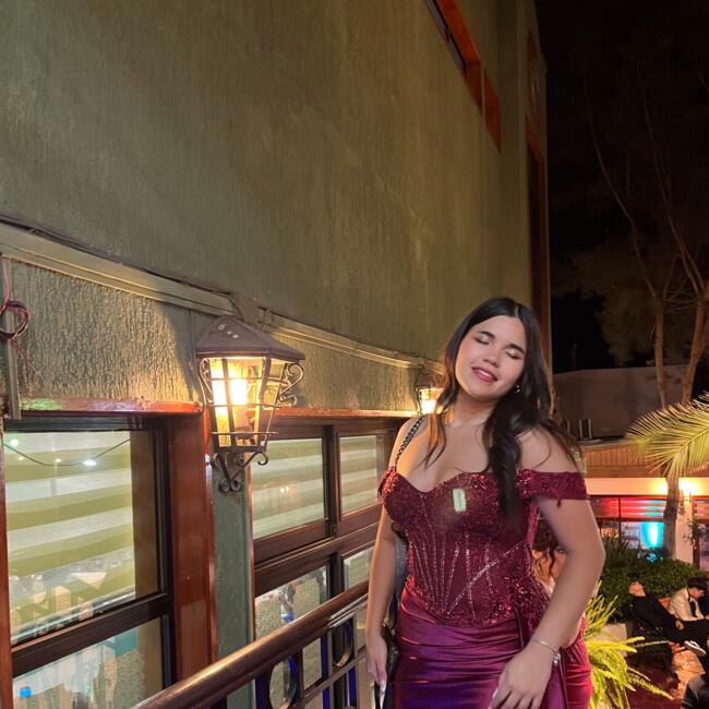 Babysitter in Antofagasta: Sofia