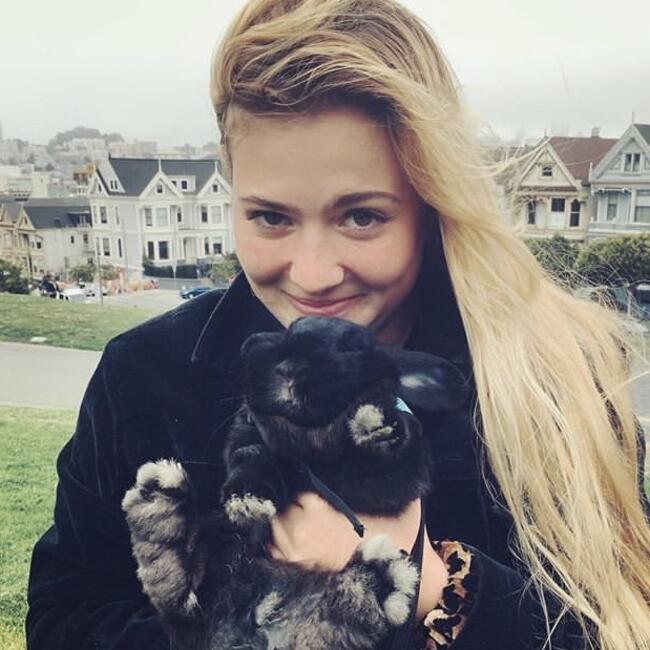 Babysitter in Montreal: Volodia