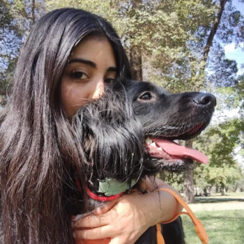 Job de garde d'enfants à Santiago: job de garde d'enfants Camila