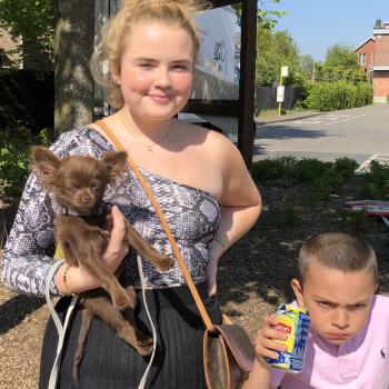 Babysitter in Schilde: Jana