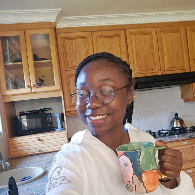 Babysitter in Benoni: Given