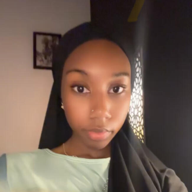 Babysitter in Vigneux-sur-Seine: Dahado