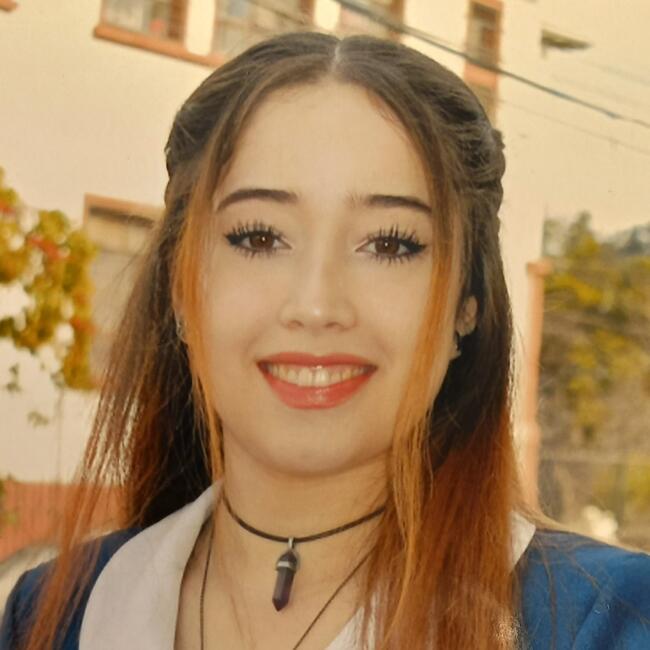 Babysitter in Coquimbo: Martina