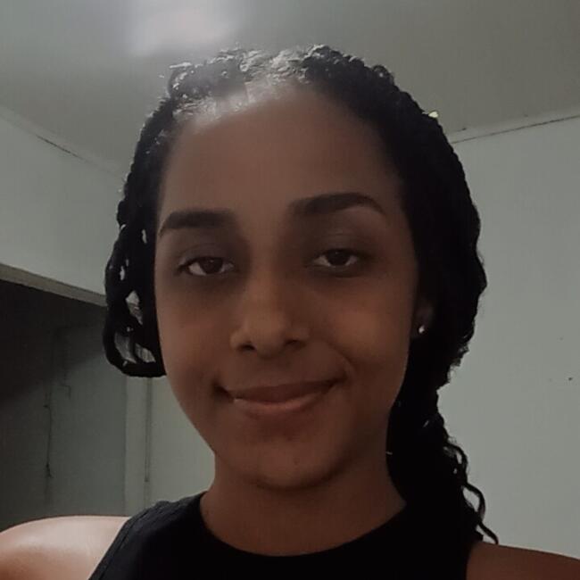 Babysitting job in Barueri: Evelyn