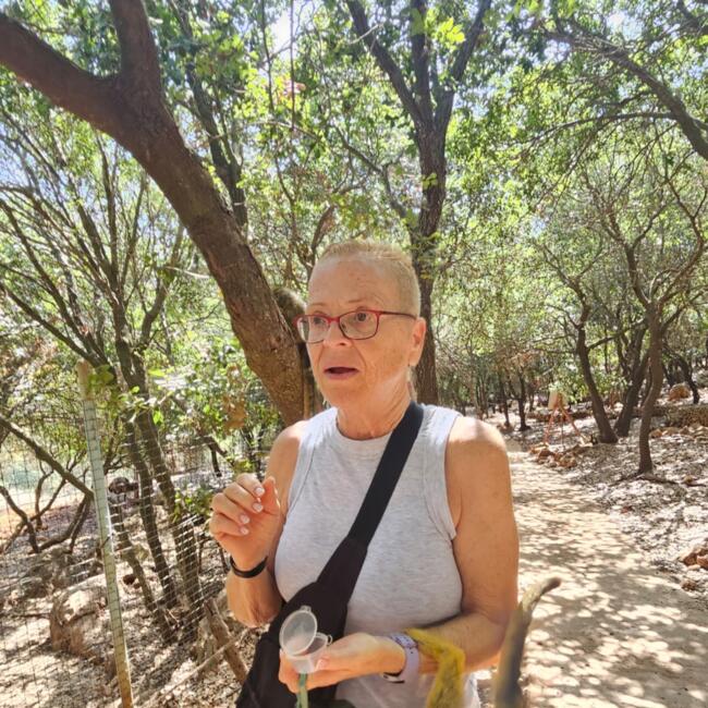 Babysitter in Afula: אורית