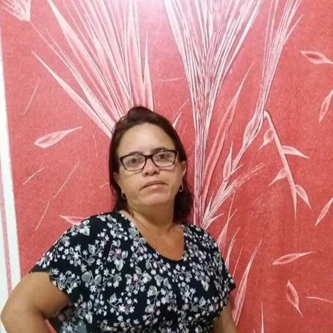 Babysitter in Lavras: Márcia Ribeiro de Almeida