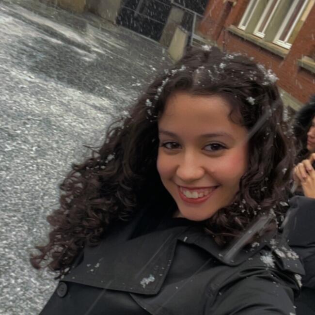 Babysitter in Suresnes: Hawa