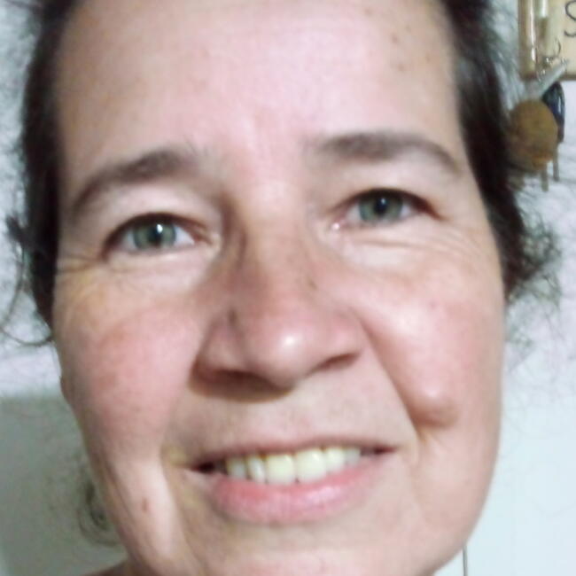 Babysitter in Pinhais: Jeuza