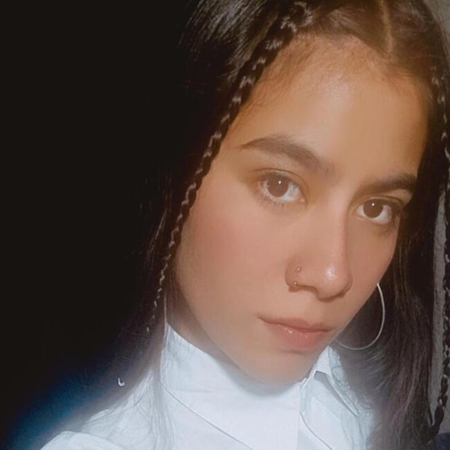 Babysitting job in Godoy Cruz: Camila