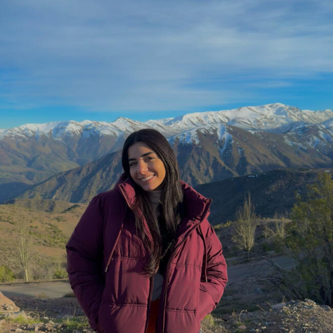 Babysitter in Auckland: Nour