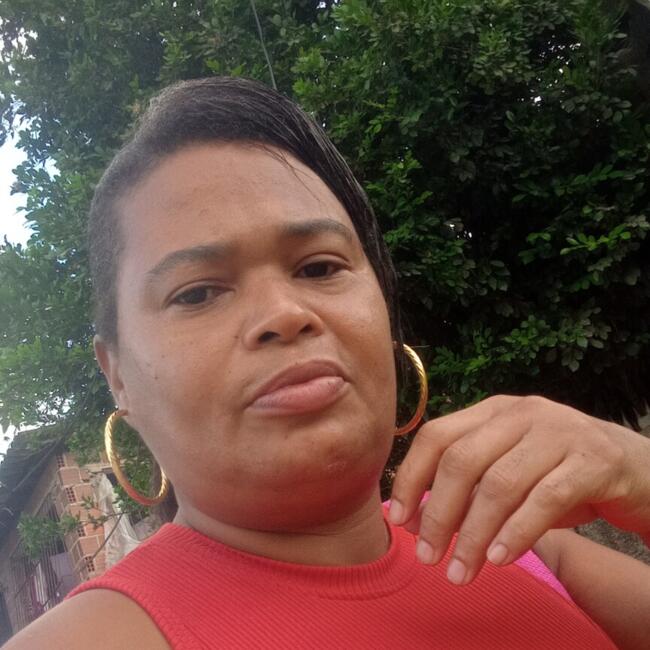 Babysitter in Jaboatão dos Guararapes: Rosilene