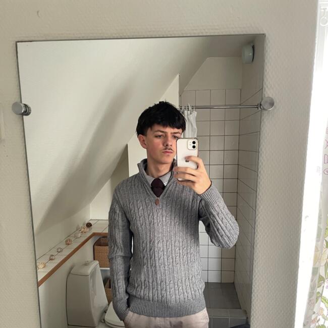 Babysitter in Schaarbeek: Robert