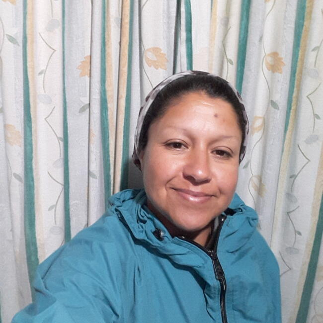 Babysitter in Quilpué: Carola del carmen