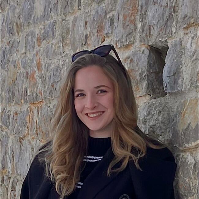 Babysitter in Novo Mesto: Sara