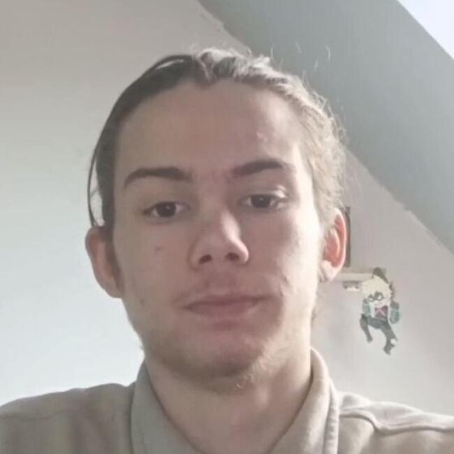 Babysitter in Cherbourg: Mathys