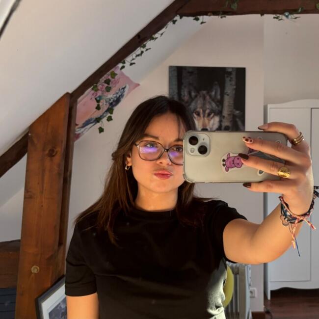 Babysitter in La Roche-sur-Yon: Enoah