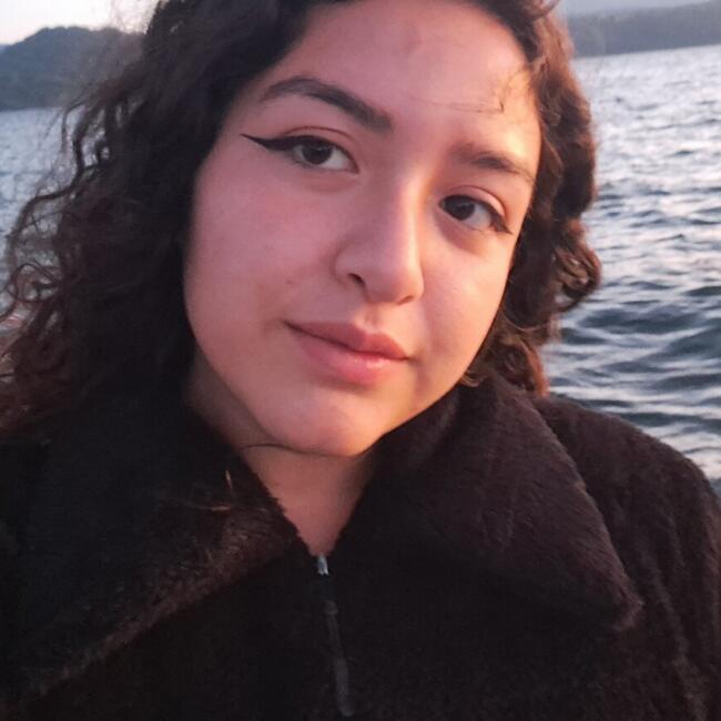 Niñera en Santiago de Chile: Gabriela