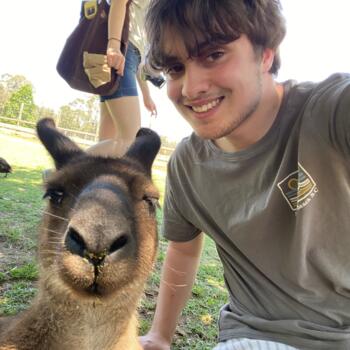 Babysitter in Queanbeyan: Cameron