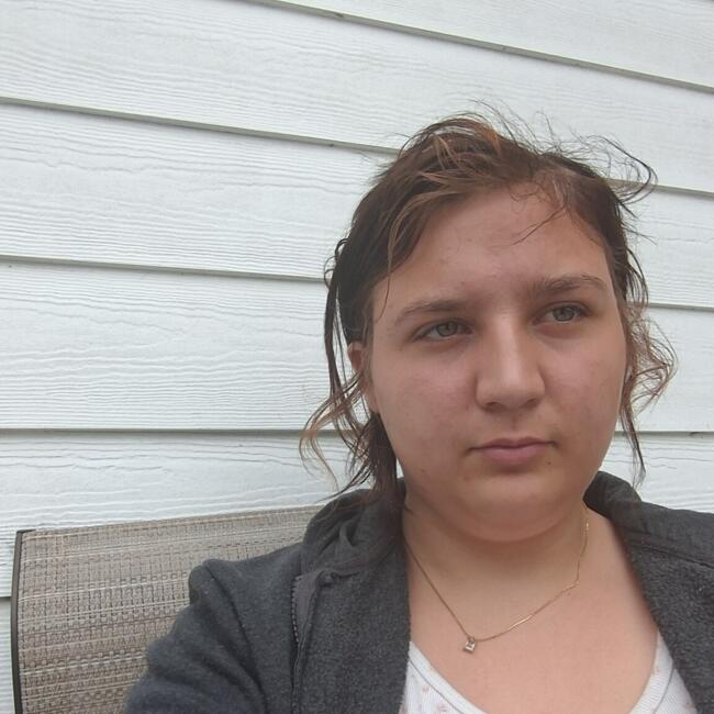 Babysitter in Dover (Florida): Briana